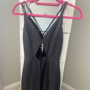 Express Metallic Dress